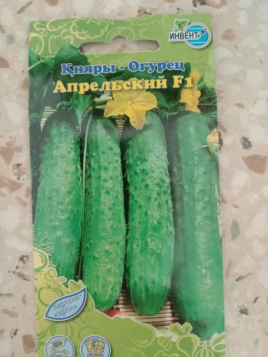 Продам рассаду огурцов