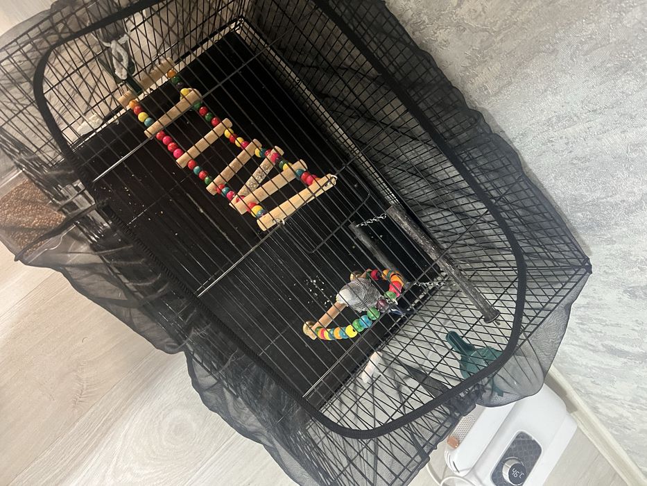 Продам клетку для птиц с попугаем