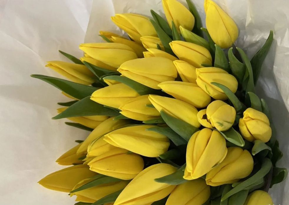 Тюльпаны на праздники в розницу