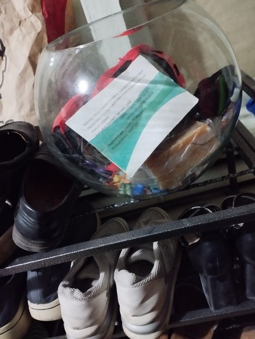 Akvarum shisha idishli