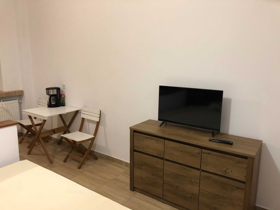 Apartament Studio  str Dr Victor Babes chiar langa Universitate