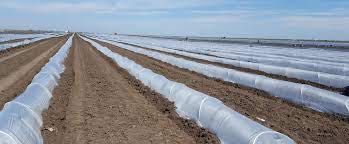 FOLIE TUNEL TRANSPARENTA,Aditivată UV; 1.4x1000m; 1.5x1000m; 1.8x1000m