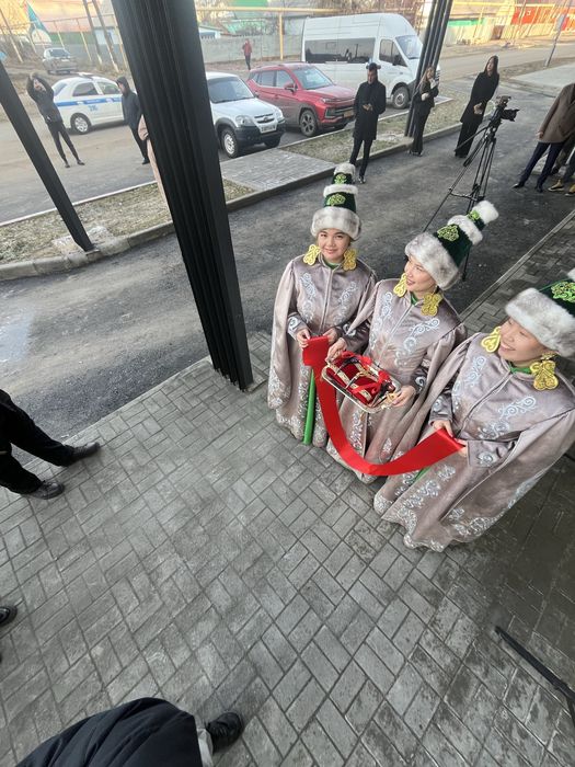 Мобилограф,СММ, ведение инстаграм