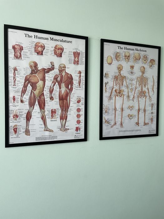 Masaj terapeutic (deep tissue), masaj de relaxare și anticelulitic