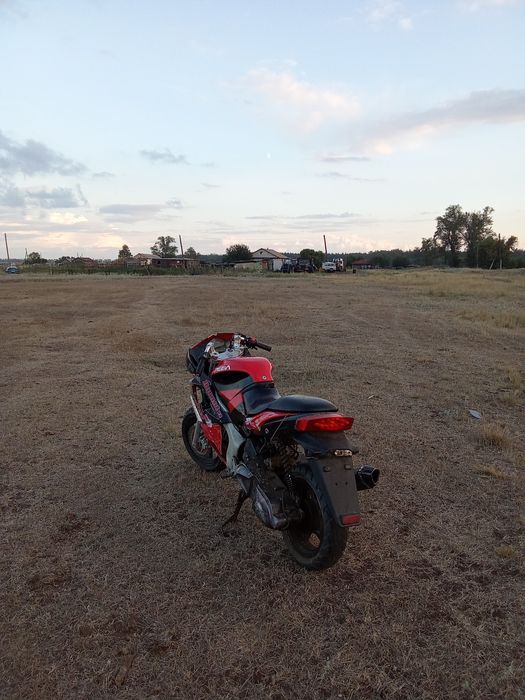 Хорнет педа 200 куб