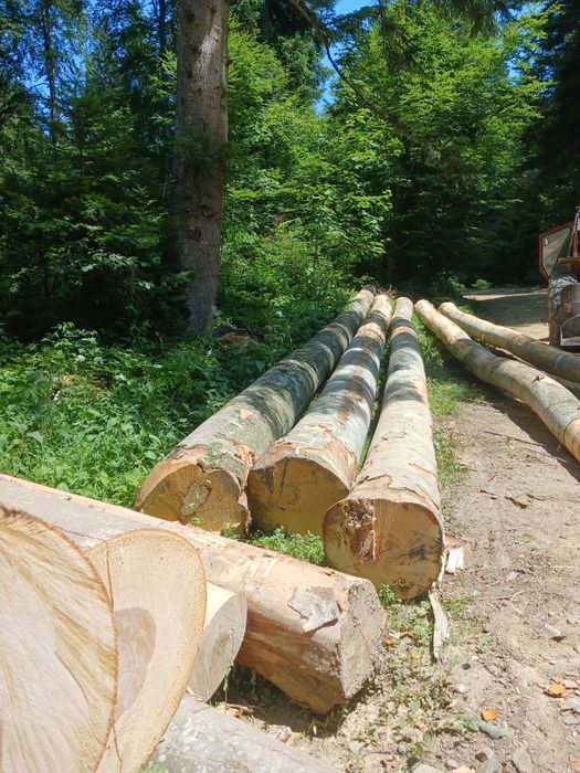 Vand bustean gater fag