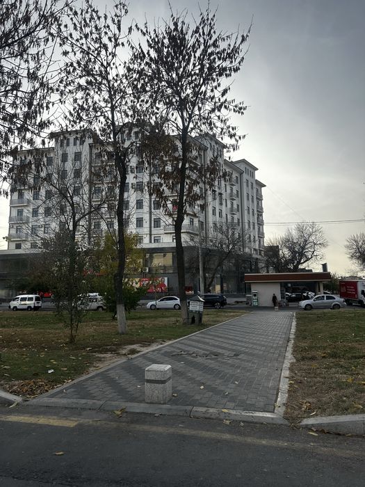 Olmazor tumani sag’bon