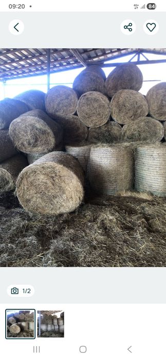 De vânzare baloti fan