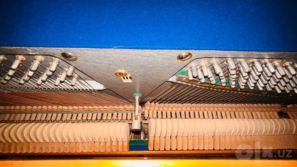 Fortepiano Беларусь