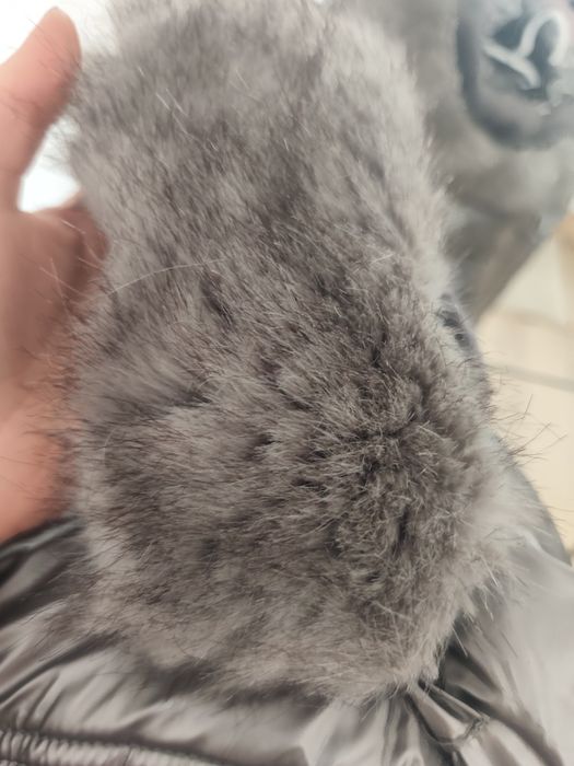 Дамско зимно яке