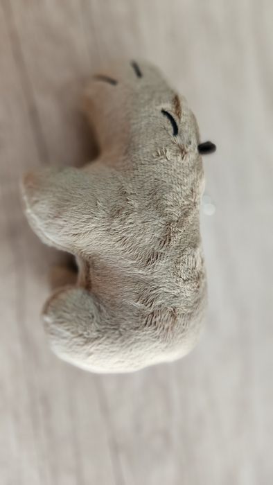 Capybara de plus Oferta!!! 2 buc la 40 de lei