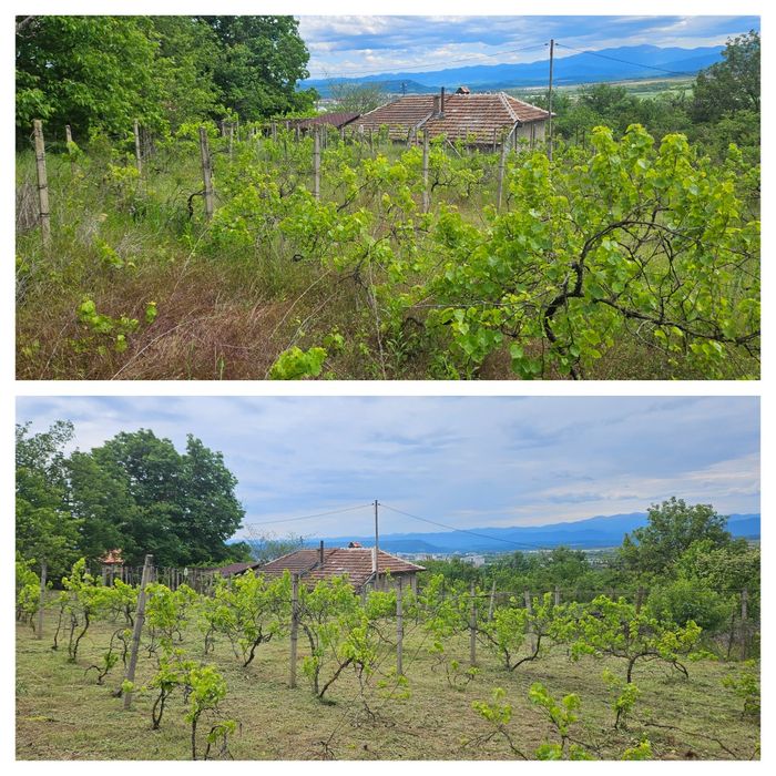 Градинарски услуги с професионална техника!