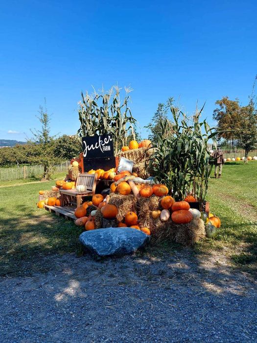 Бали слама за празници декорации, фотосесии