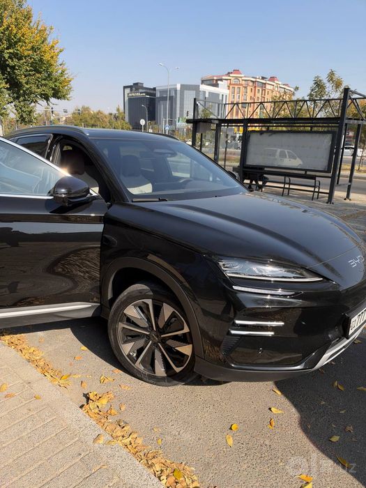 Byd chempion 605