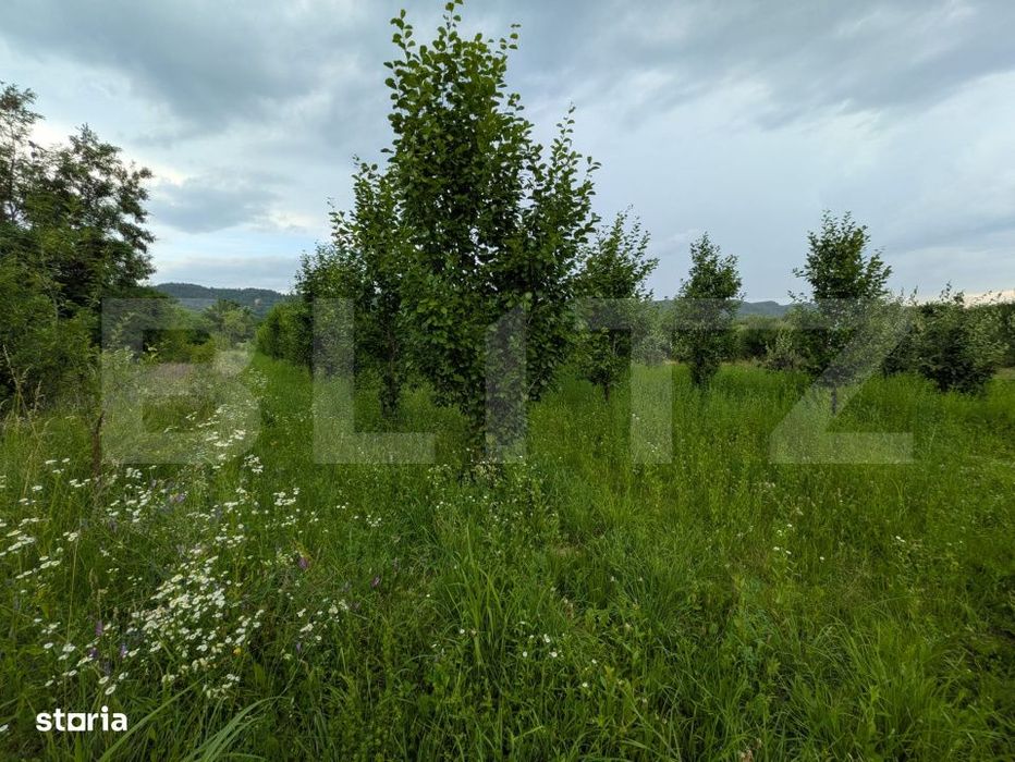 Vand teren intravilan, in Voinesti