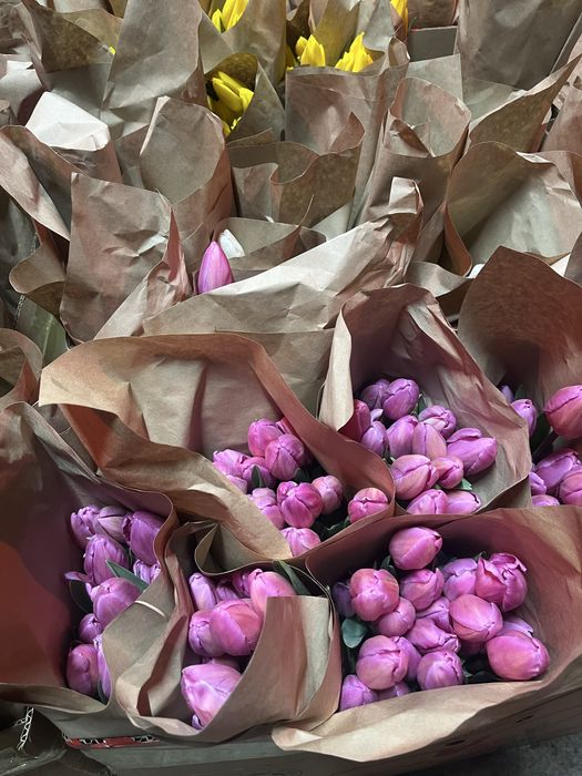 Тюльпаны на 8 марта от 100шт