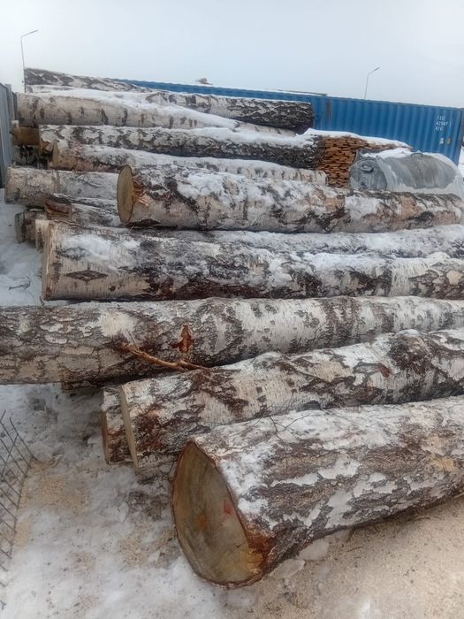 Береза кругляк продам