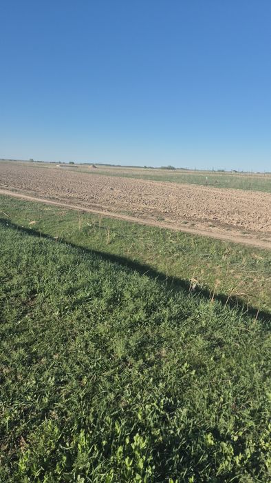 Жер телімдері бөліп төлеуге сатылады !