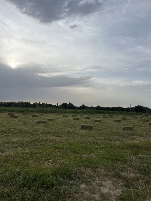 800 штук сатылады село казакстан