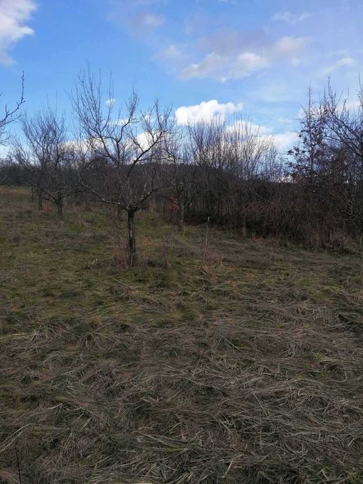 Парцел в регулацията на с.Гумощник