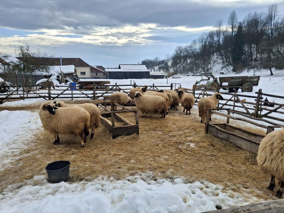 Vand breze in Fintoag