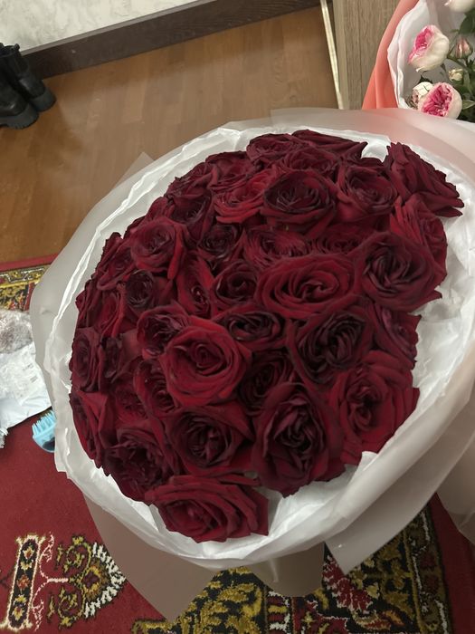 Цветы 51 роз хорошие