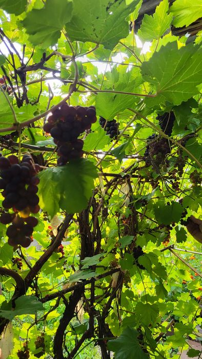 Продаётся дом в посёлке Прибрежный