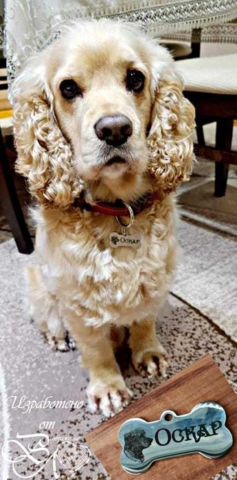 Гравиране Върху Метал. Ключодържател, Медальон