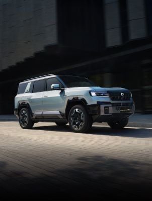 Denza B8 под заказ от Terra Auto
