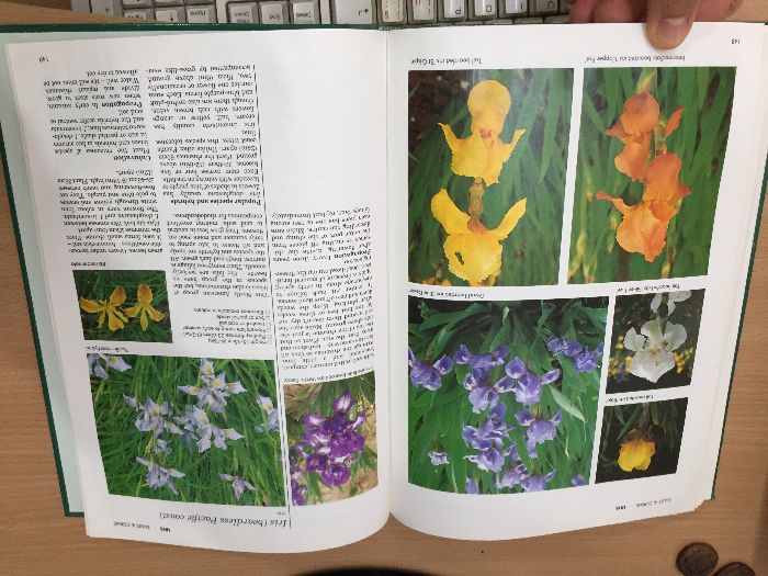 Енциклопедия A-Z of Annuals, Biennials & Bulbs (Successful Gardening)