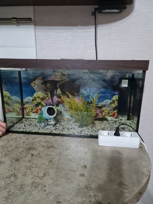 Аквариум с рыбками