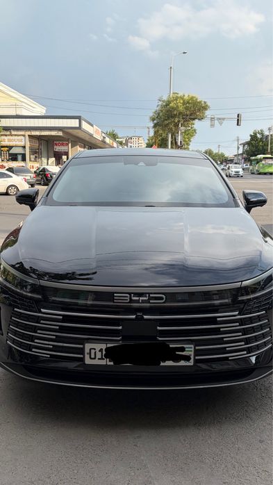 Byd chazor 120  km
