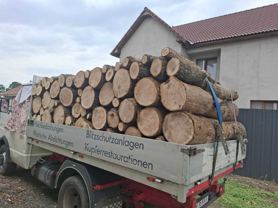 Lemne de foc esență tare
