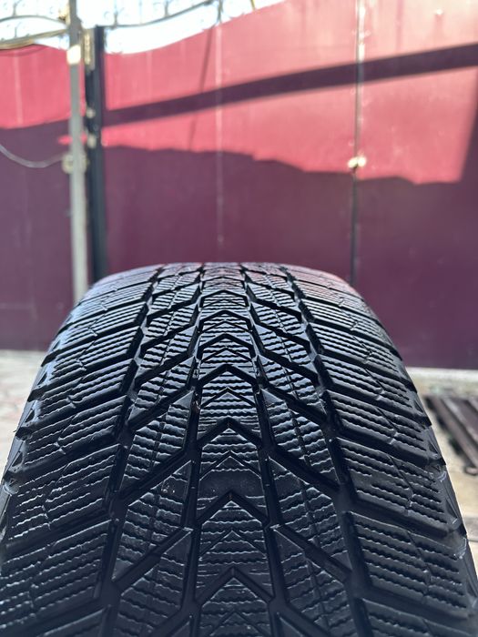 зимние шины nexen 225/45/17