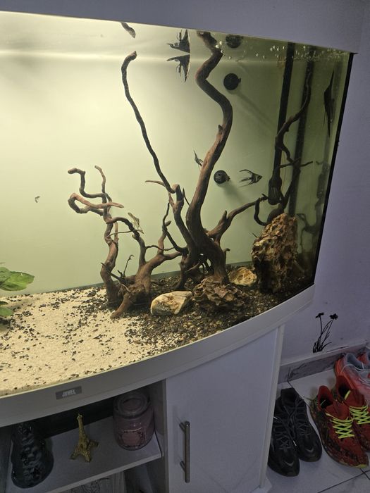 Acvariu Juwel Vision 260