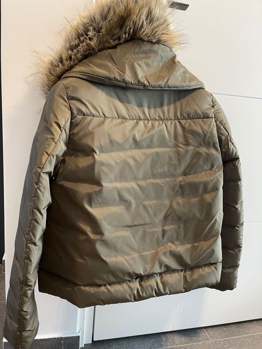 Geaca scurta , Motivi