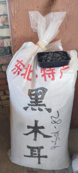 Древесные грибы на продажу