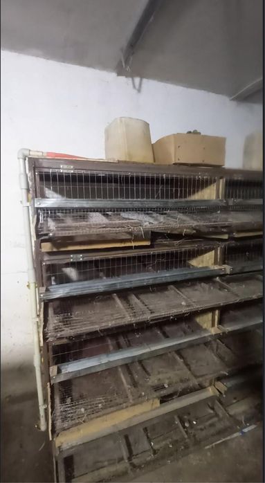 Продаеться сетка для содержания перепелки