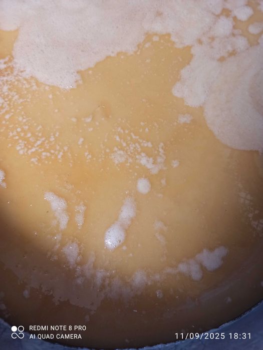 Vând miere ,boștină , ceara