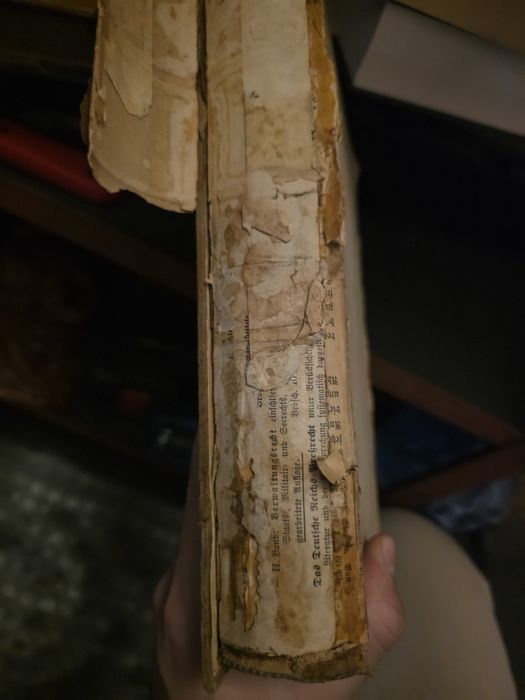 История на Земята Erdgeschichte от Мелхиор Ноймайер 1895