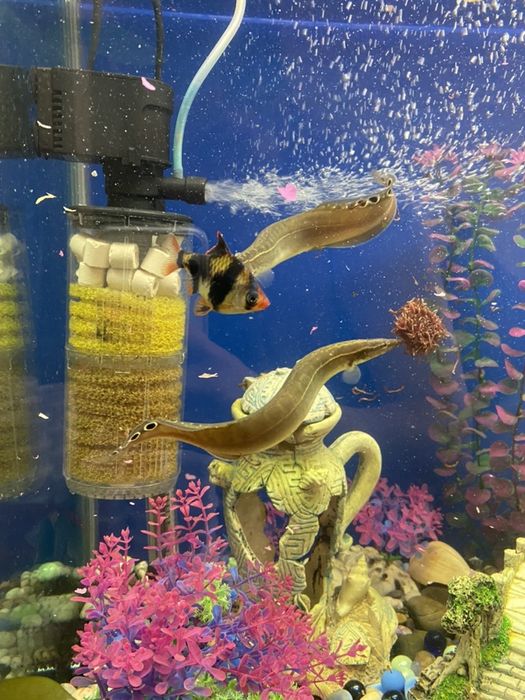 Продам аквариум на 130 литров