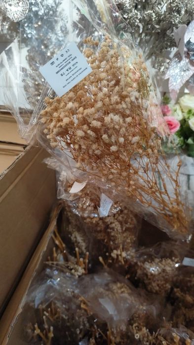 Сух гипсофил връзка