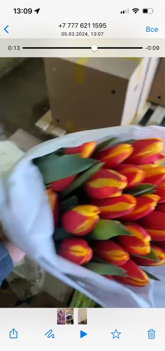 Продаём Тюльпаны