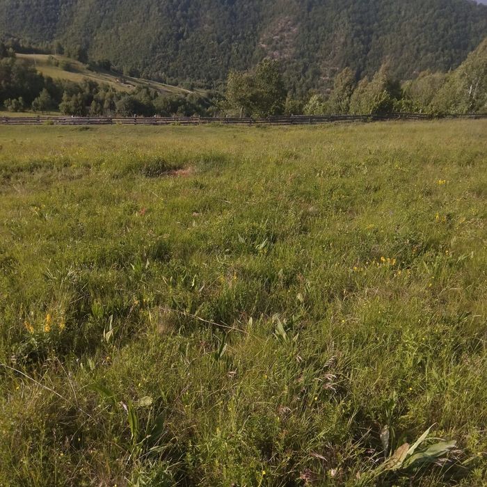 Teren intravilan in Plopi com. Valea Ierii