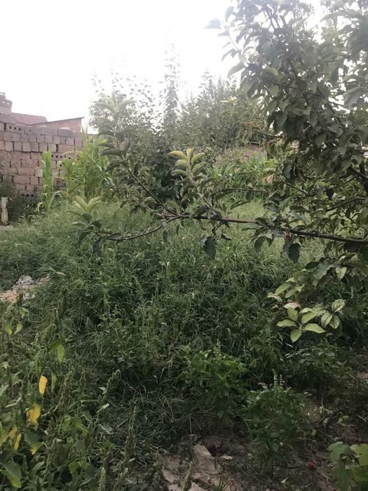 Срочна Ховли уй сотилади чирчик