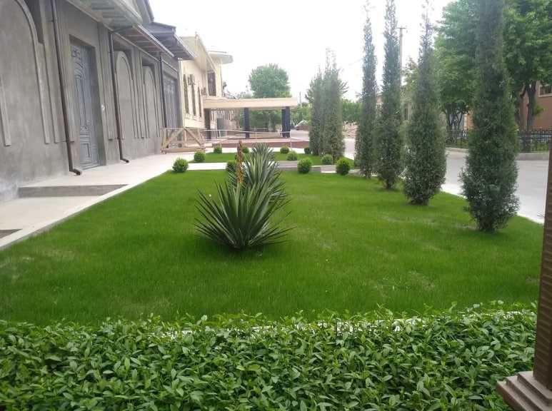 Рулонный Газон! Полив! Посев Газона! Ландшафтный Дизайн!