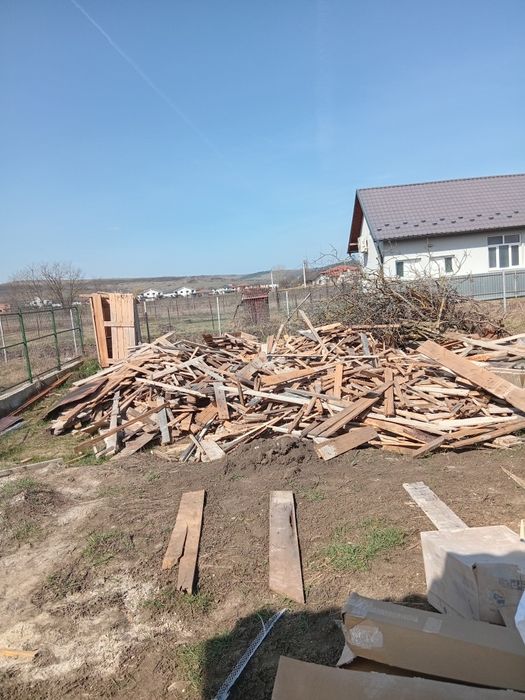 Vînd Lemn foc de vnzare brad⁸