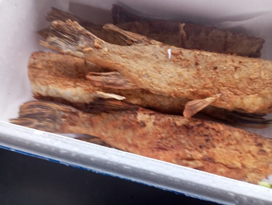 Карась и щука срочно