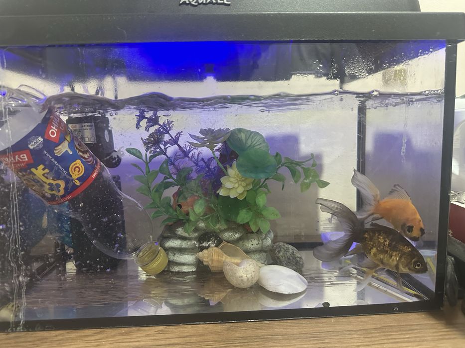 Аквариум для рыбок