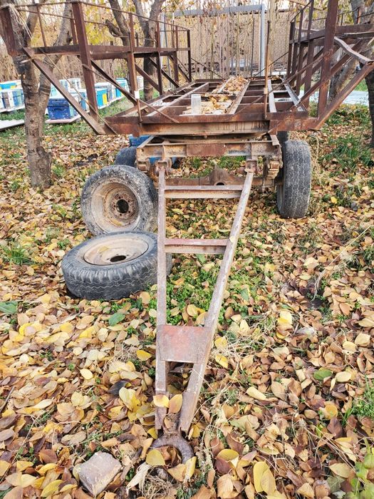 Asalari prisepi sotiladi